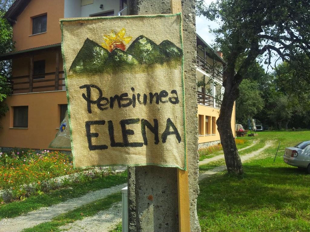 Pensiunea Elena Vistisoara Стая снимка