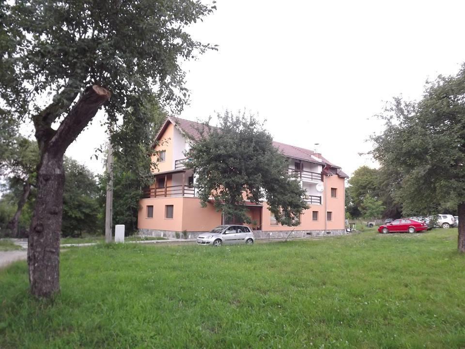 Pensiunea Elena Vistisoara Екстериор снимка